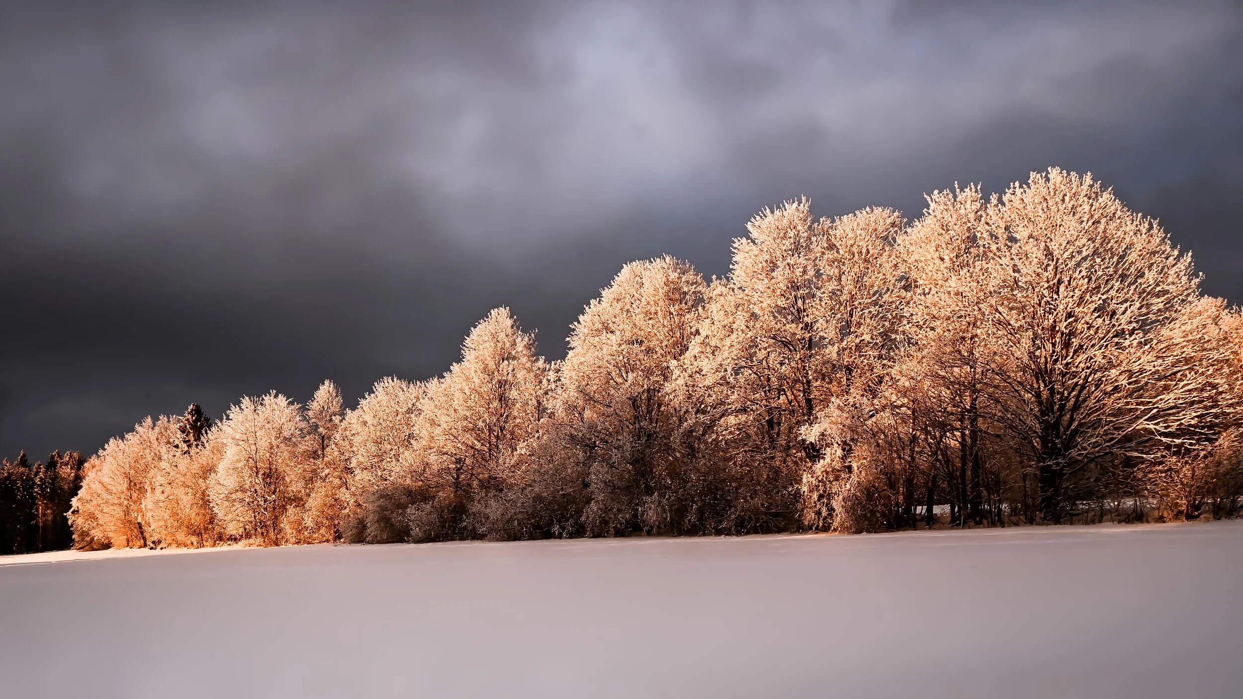 DSC_7603-3.jpg