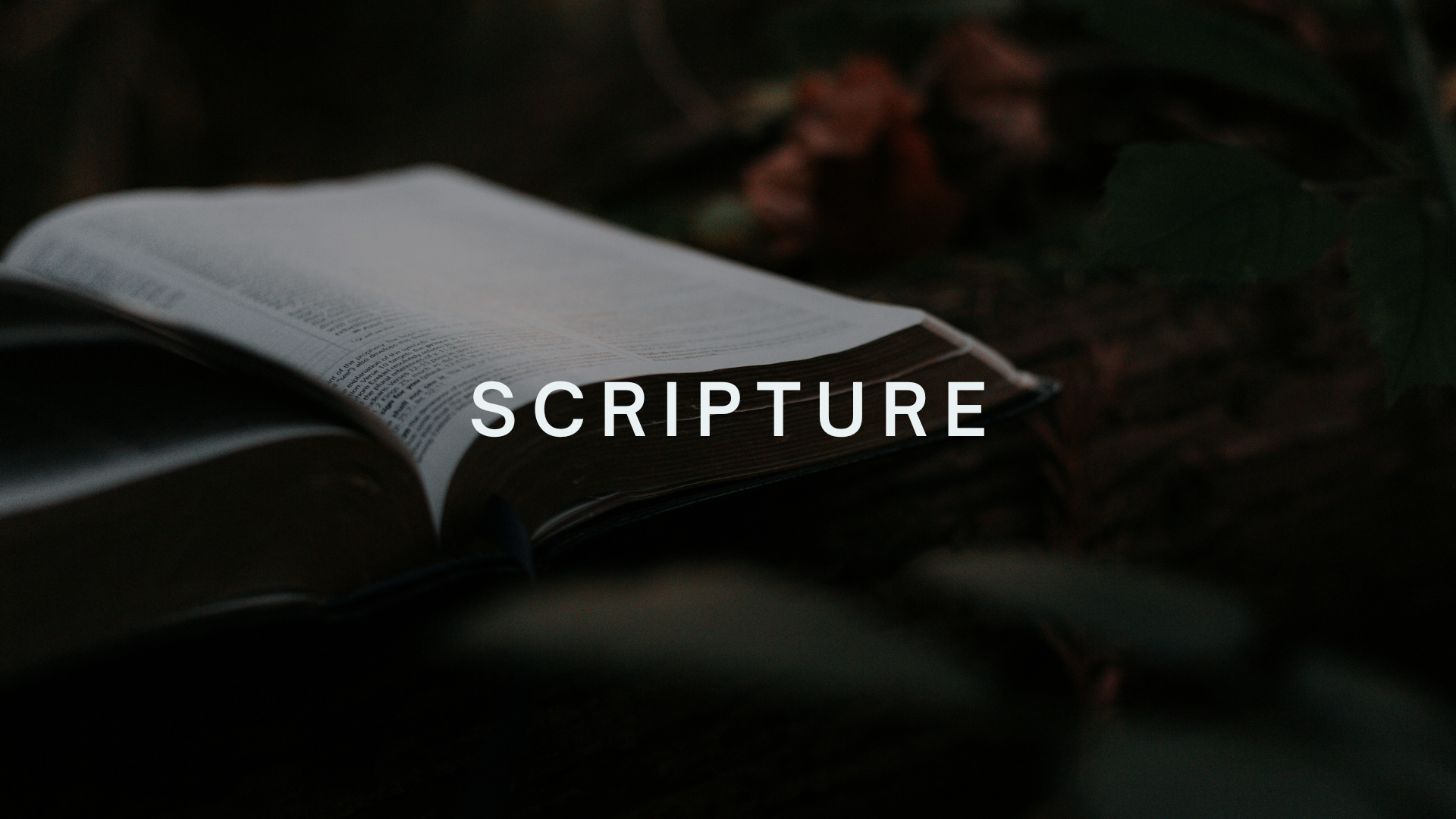 The Scripture Practice - Community Group