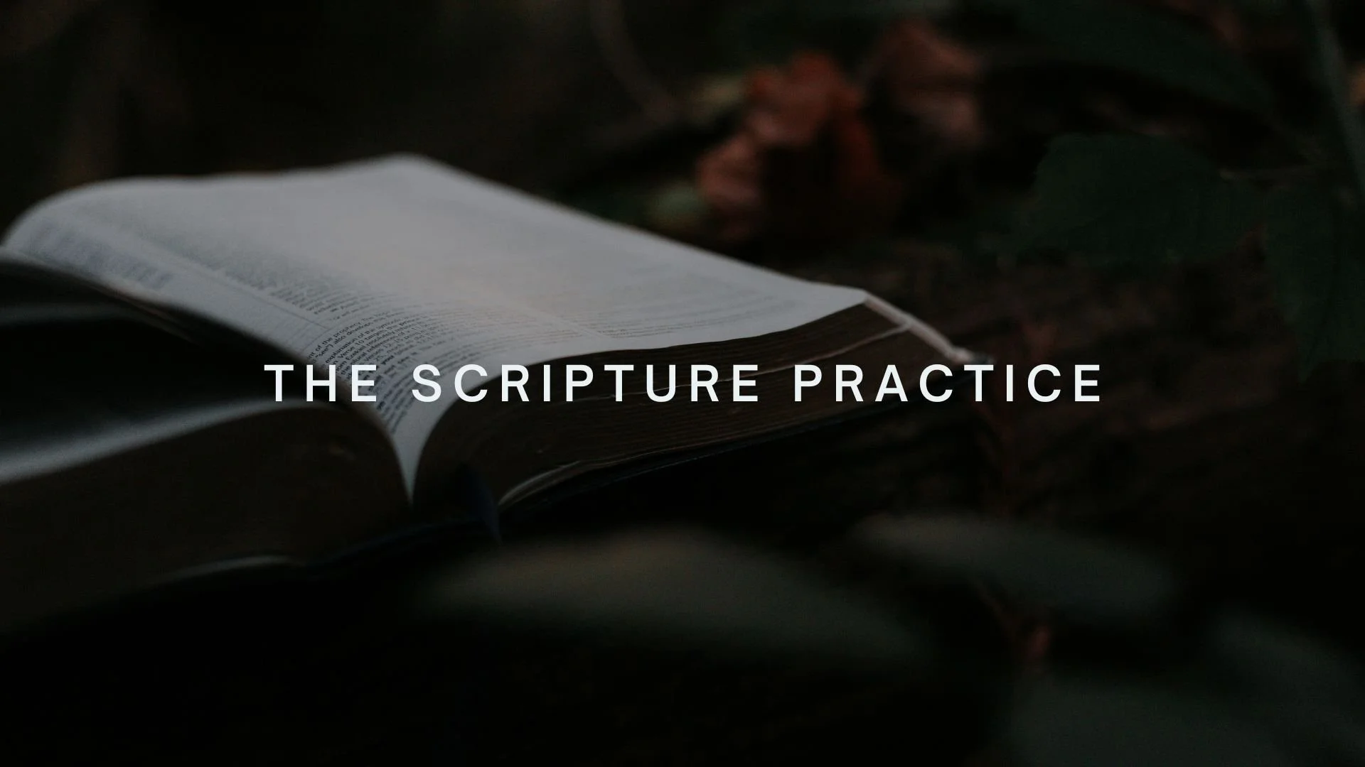 Scripture - Website Sermon.jpg