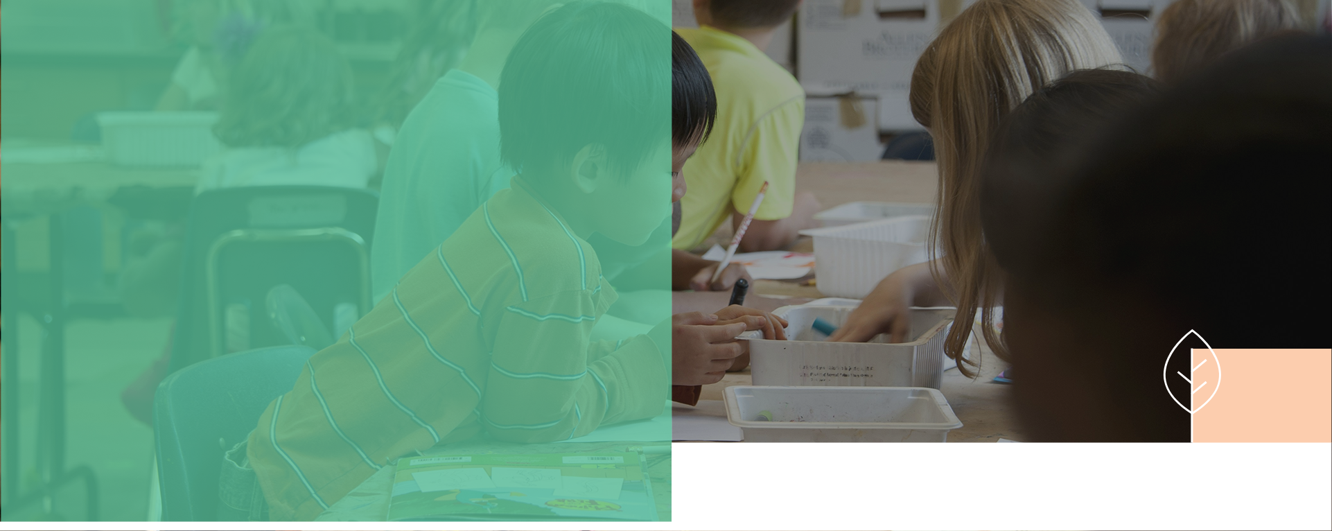 TCC Header - TCP Clasroom.png