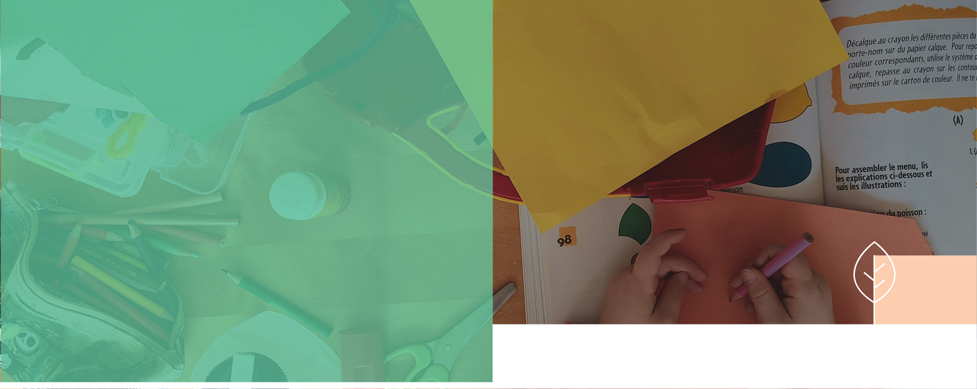 TCC Header - TCP Registration.png