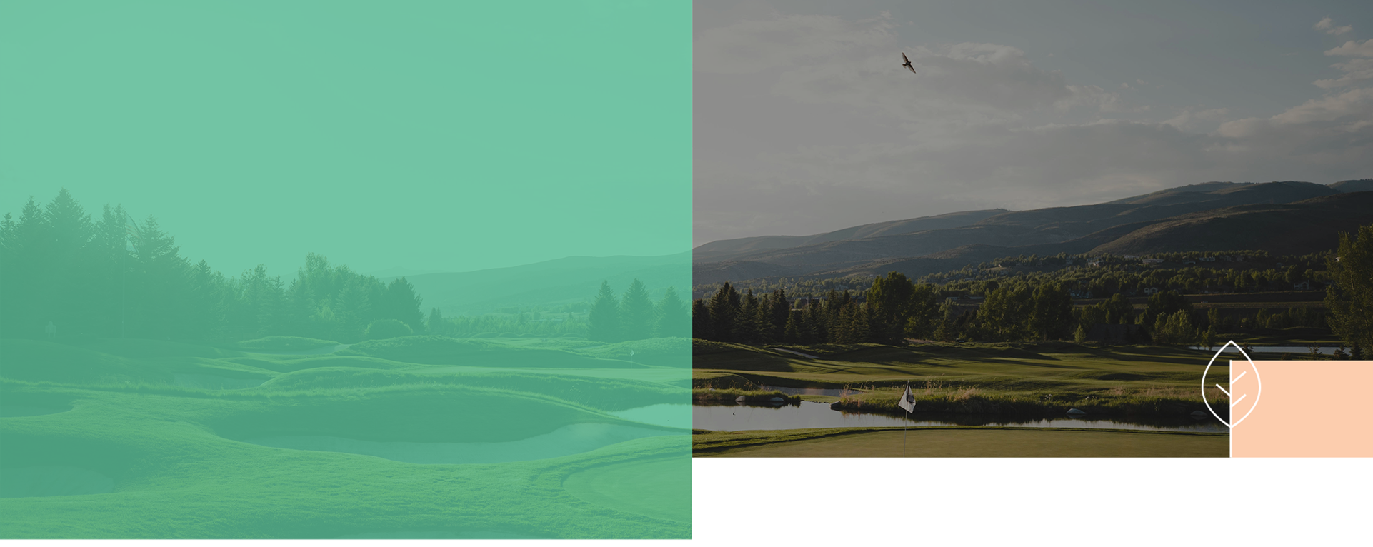 About The Tournament - Header.png