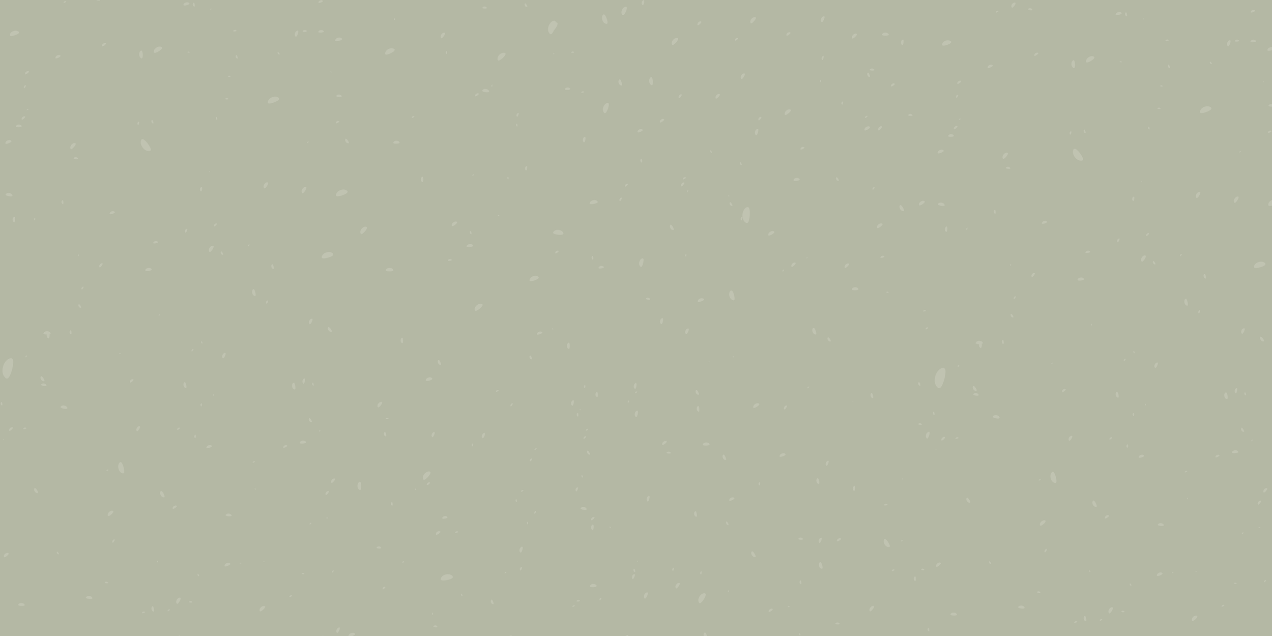 Viral YouTube Script Template — Katie Steckly