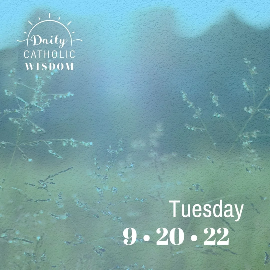 More Wisdom from Dr. Scott Hahn