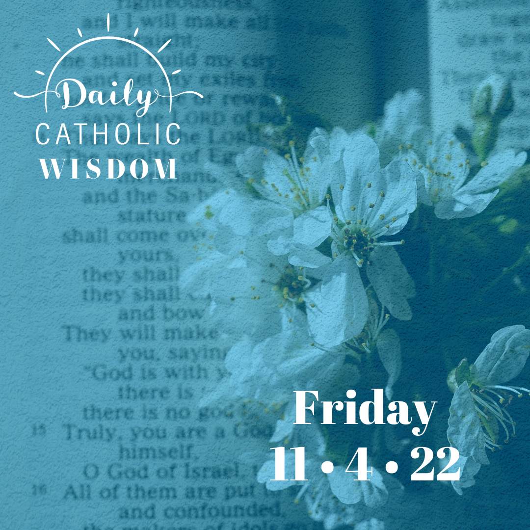 Wisdom from Dr. John Bruchalski