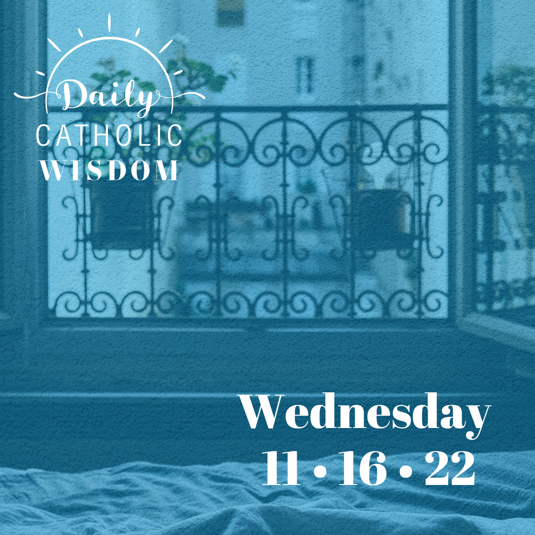 Wisdom from Fr. Donald Calloway