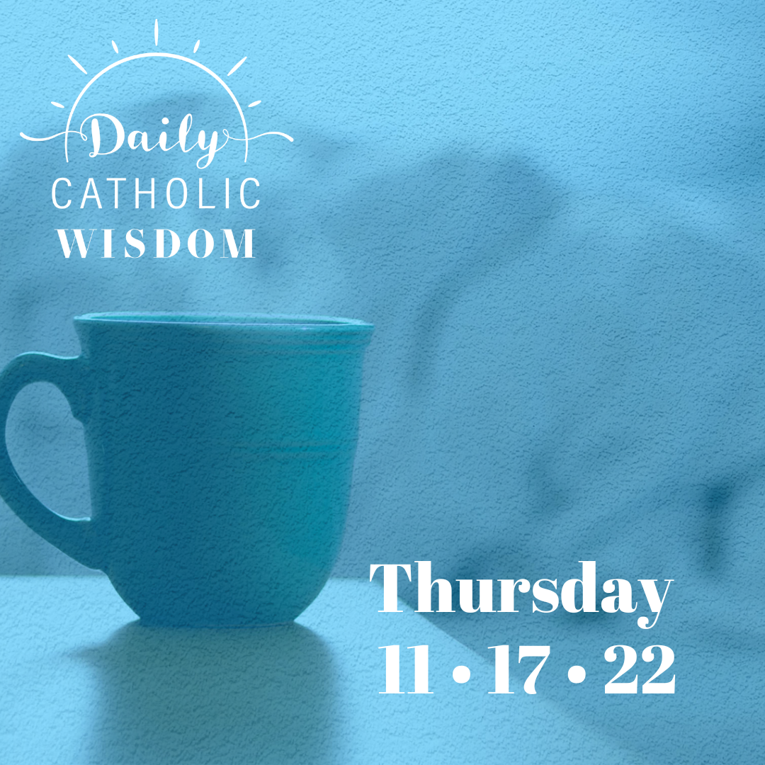 More wisdom from Fr. Donald Calloway