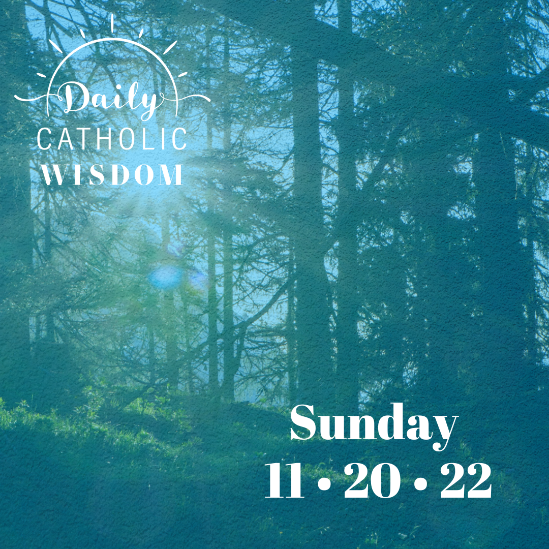Wisdom from St. Edith Stein