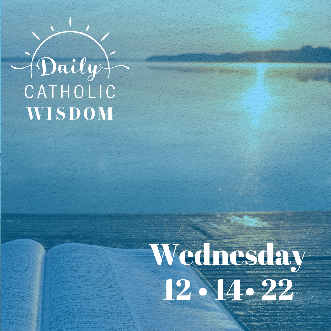 Wisdom from Sally Read