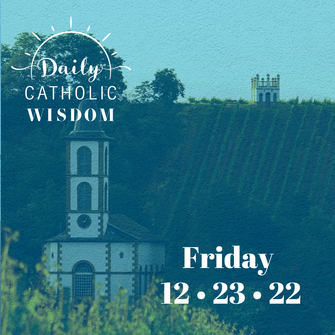More wisdom from Fr. Wilfrid Stinissen