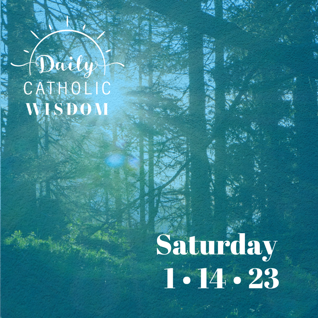 Wisdom from Blessed Carlo Acutis