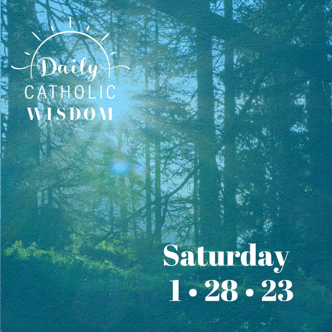 More wisdom from Fr. Spitzer