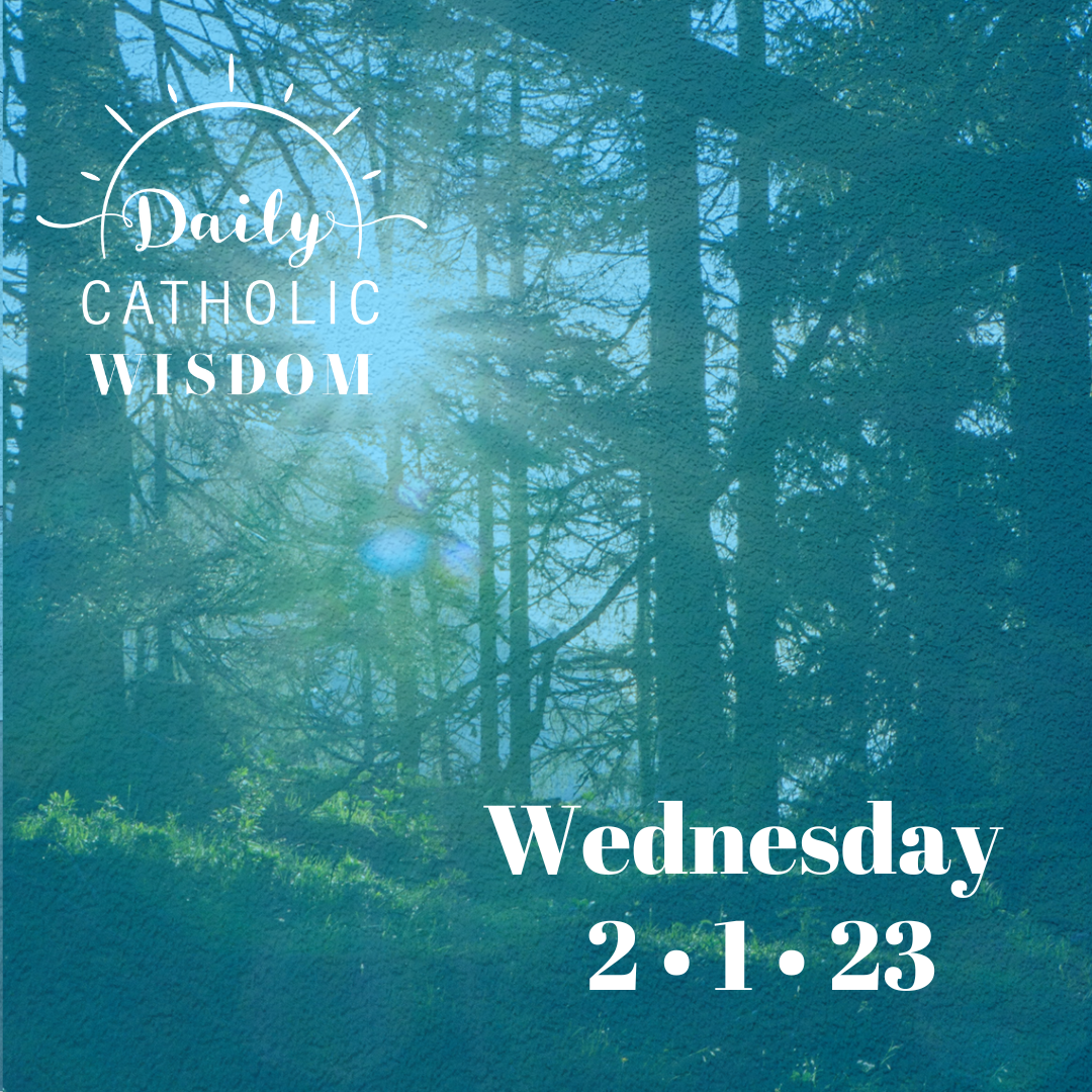 Wisdom from St. John the Evangelist