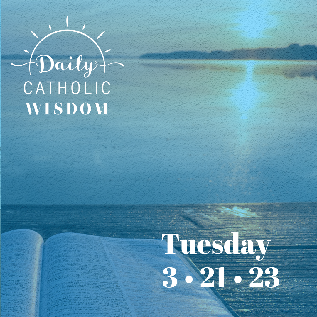 More wisdom from Fr. Don Calloway