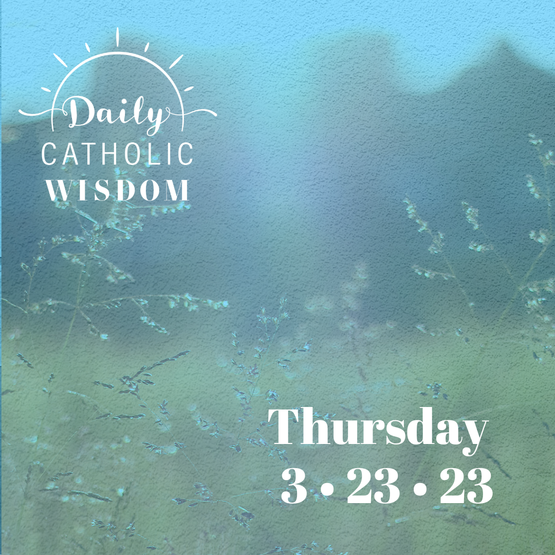 Wisdom from Emily Stimpson-Chapman