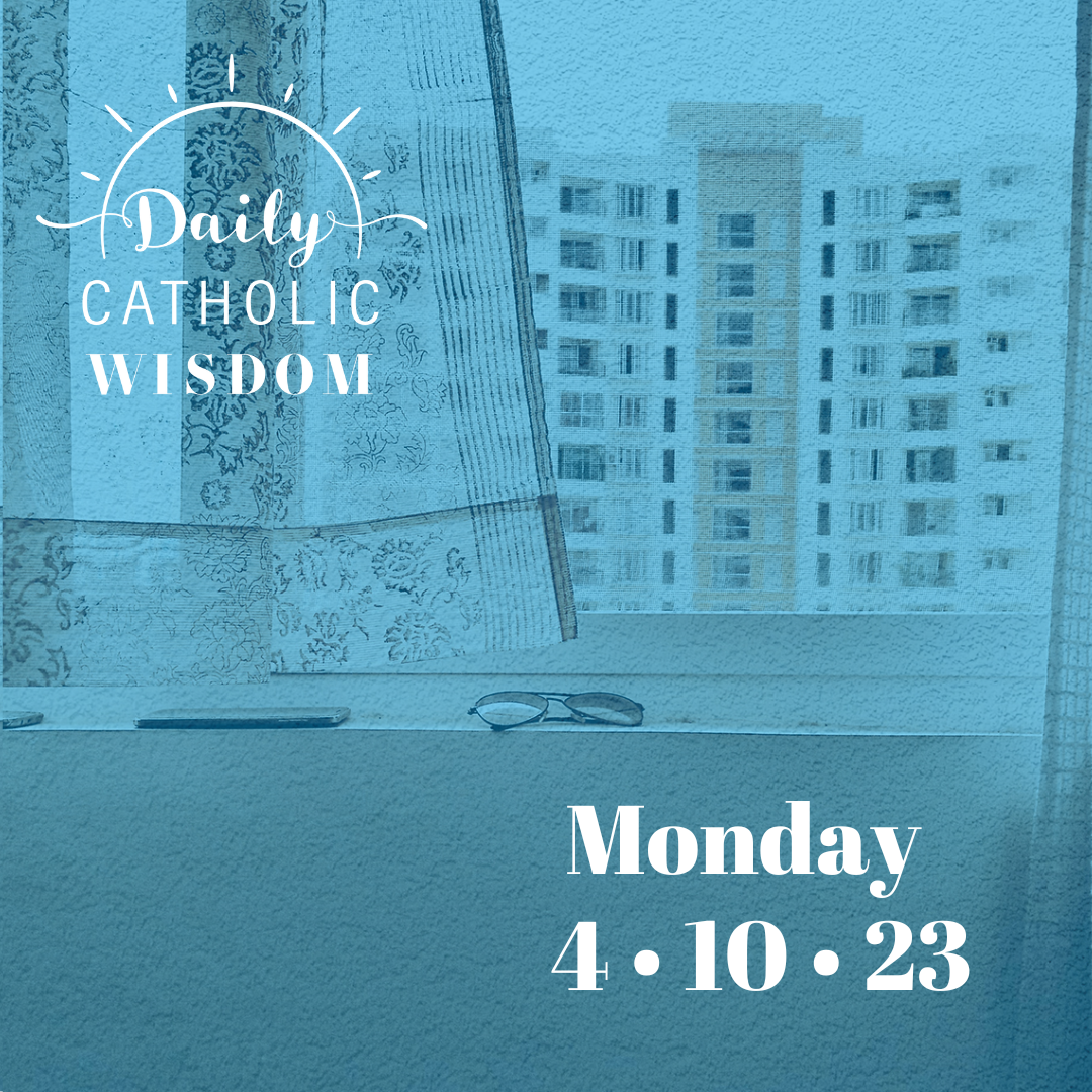 Wisdom from Fr. Chris Alar, MIC