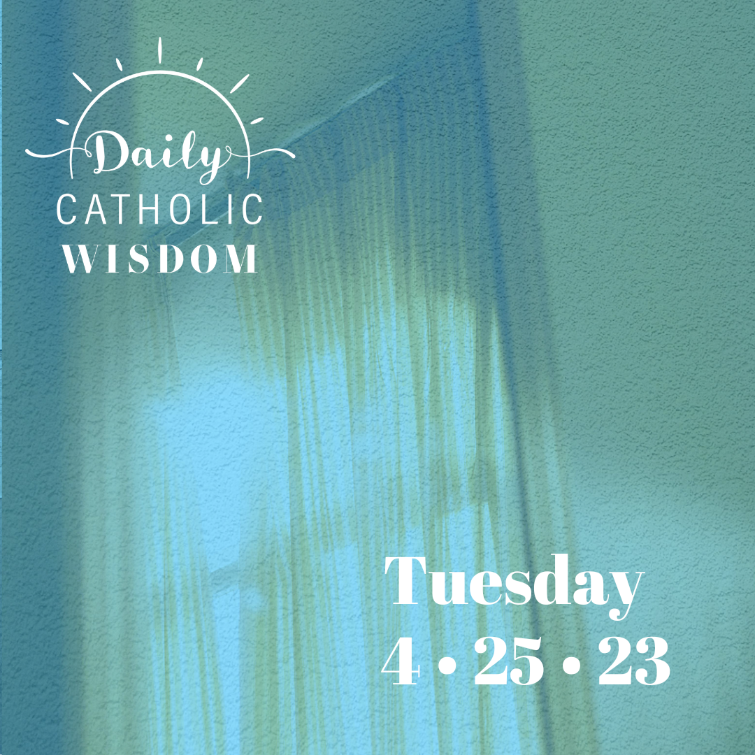 More wisdom from Fr. Wilfrid Stinissen, O.C.D.