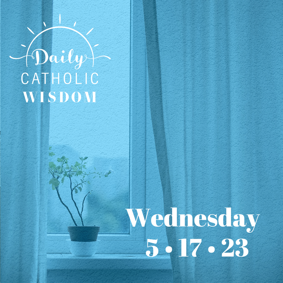 Wisdom from St. Teresa of Calcutta