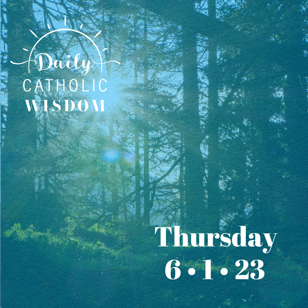 Wisdom from St. Mother Teresa