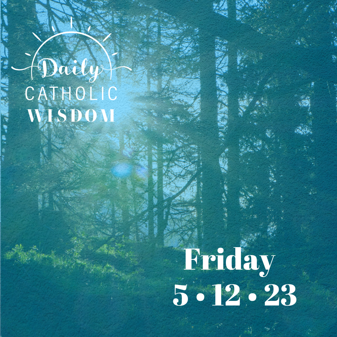 More wisdom from Sherry Boas