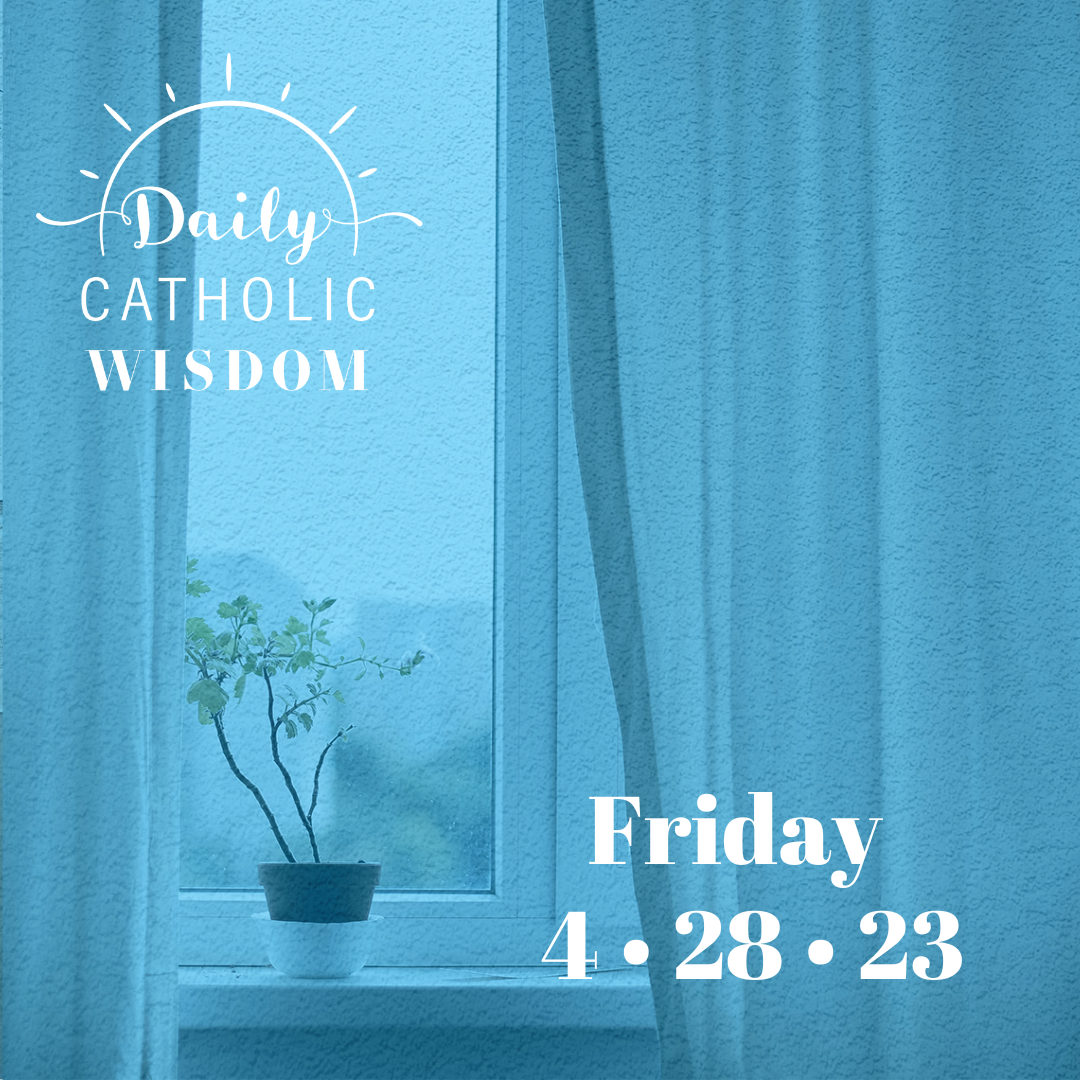 Wisdom from Fr. Willie Doyle, S.J.