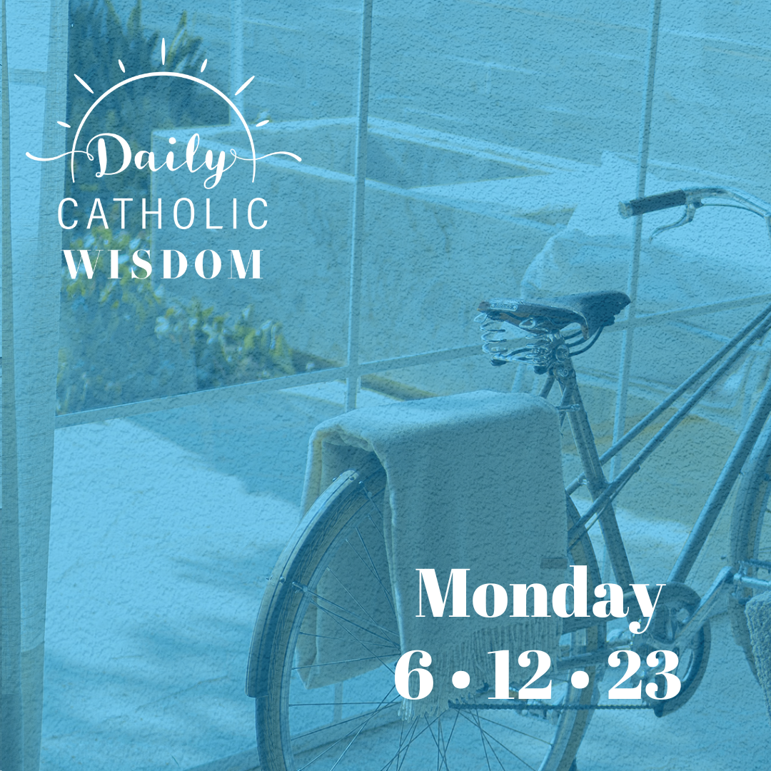 Wisdom from Father Patrick Mary Briscoe