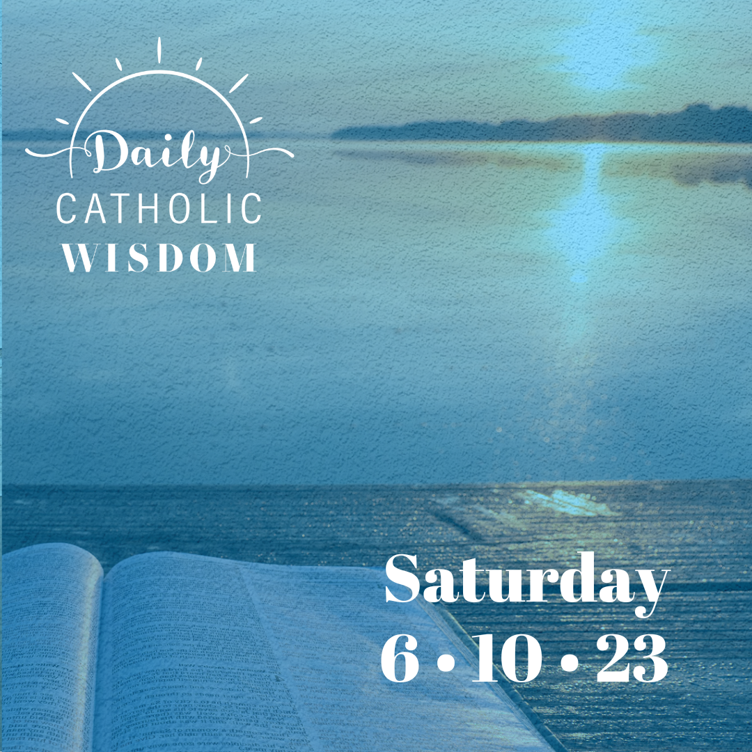 Wisdom from Fr. Willie Doyle