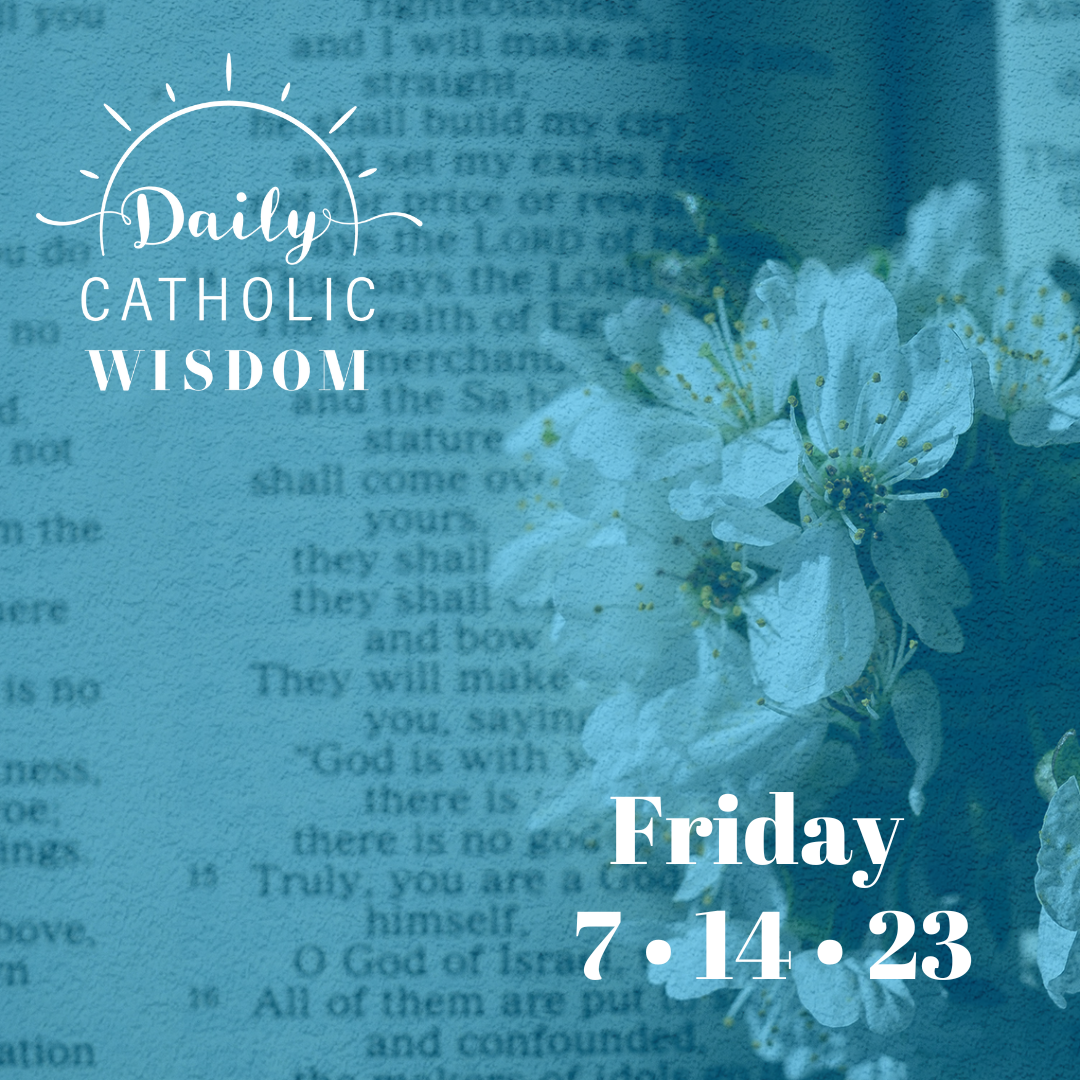 Wisdom from Fr. Patrick Mary Briscoe, OP