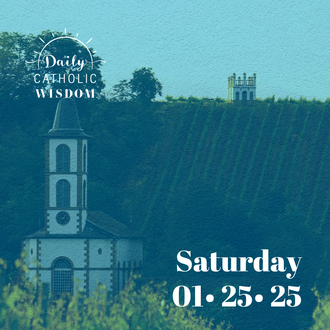 More wisdom from Saint Francis de Sales