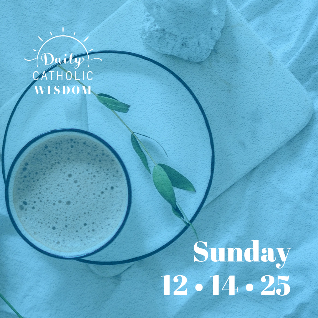 Wisdom from St. John of the Cross