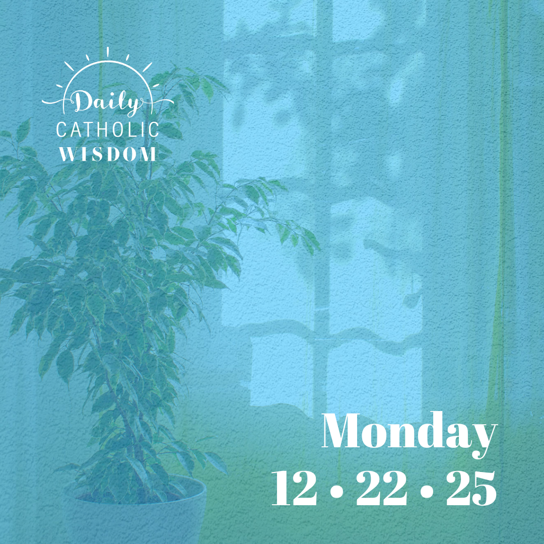 Wisdom from St. John of Kanty