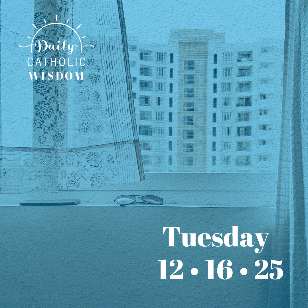 Wisdom from Pope Francis