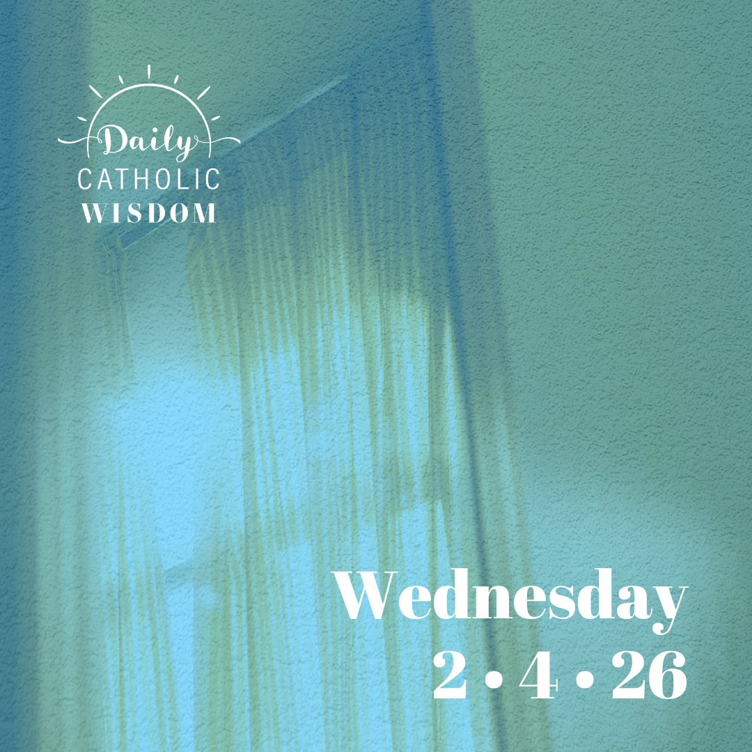 Wisdom on the Holy Family