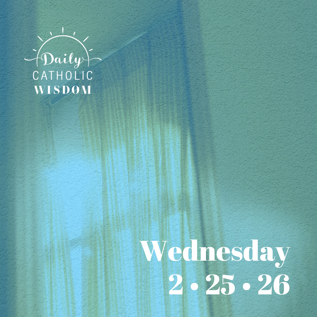 More Wisdom from Scott Hahn