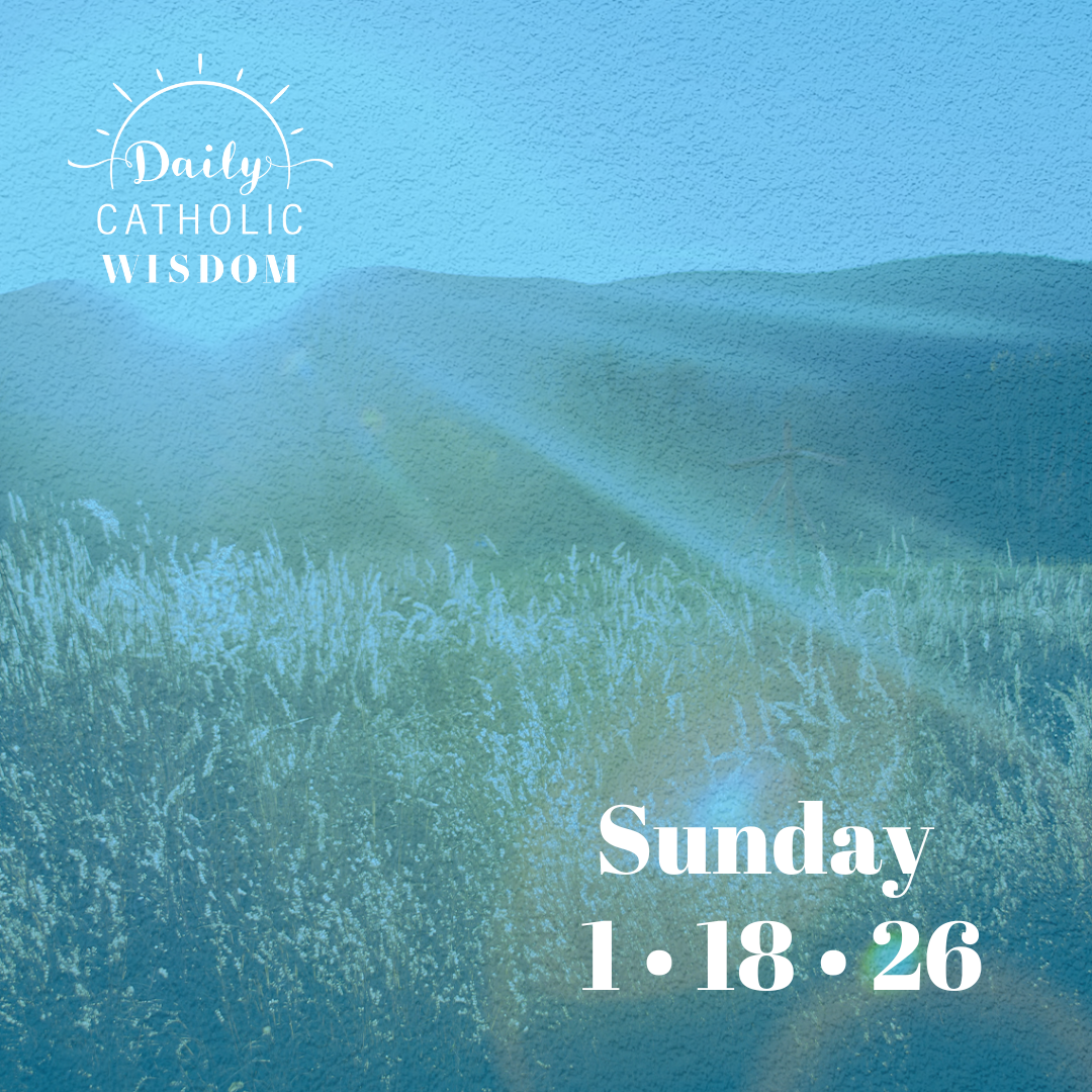 More Wisdom from Fr. Emmanuel-Marie Le Fébure du Bus