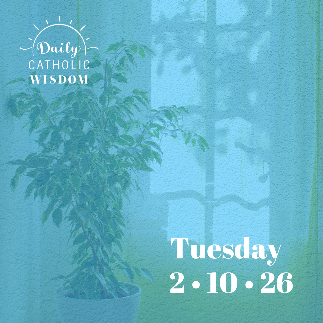 Wisdom from Saint John of the Cross