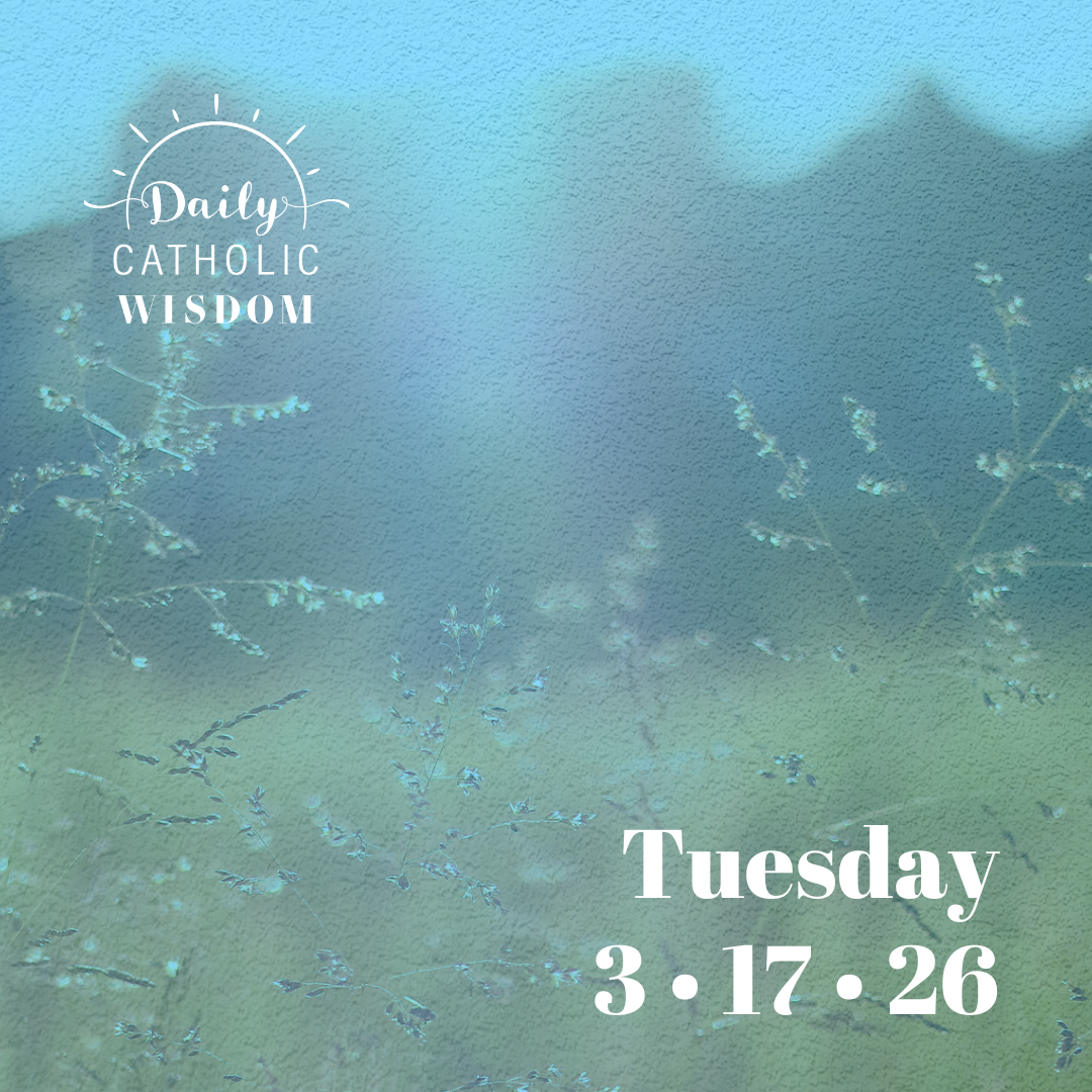 More Wisdom from St. Paul 