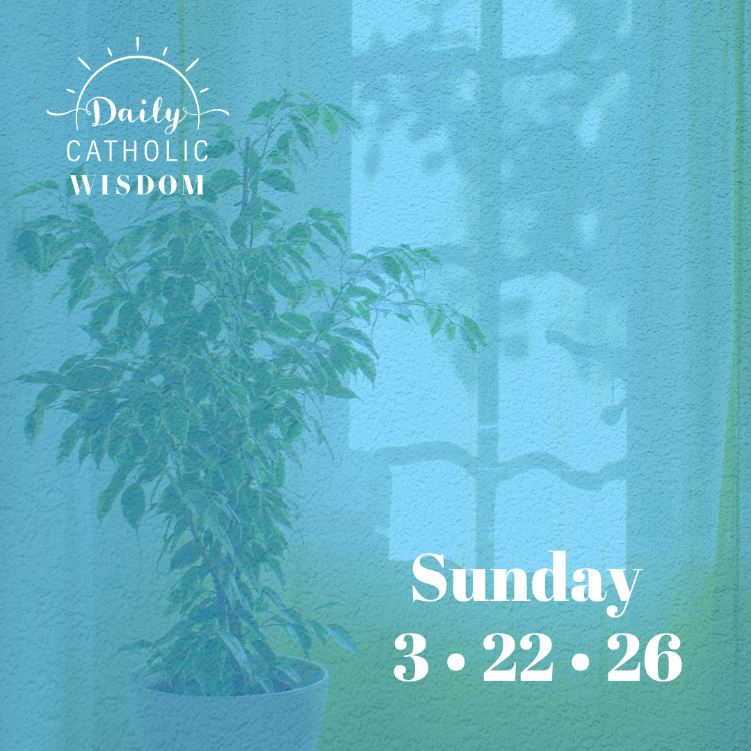 Wisdom from Dr. Mark Giszczak