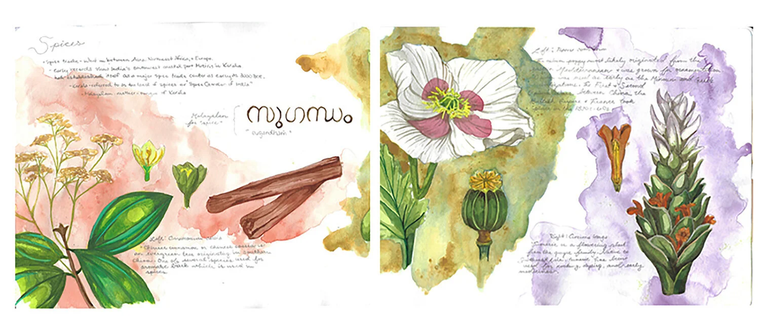 Spice+Studies.jpg