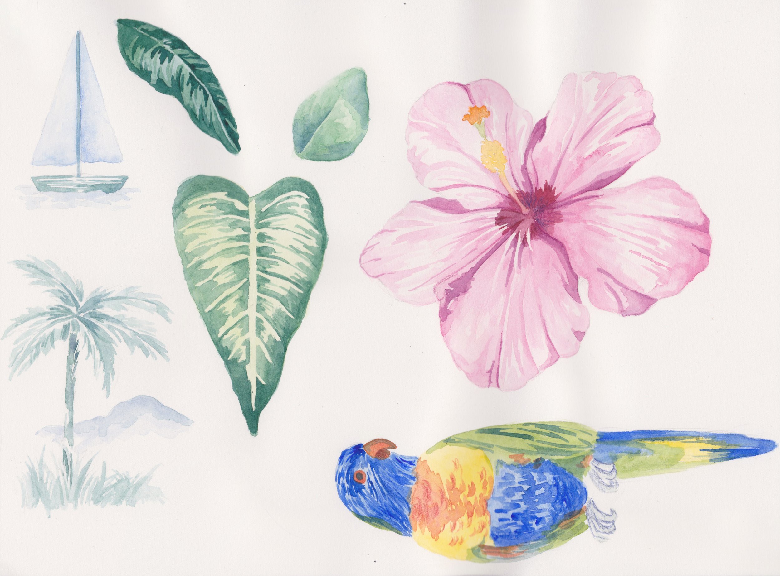 Full Tropical Watercolor.jpg