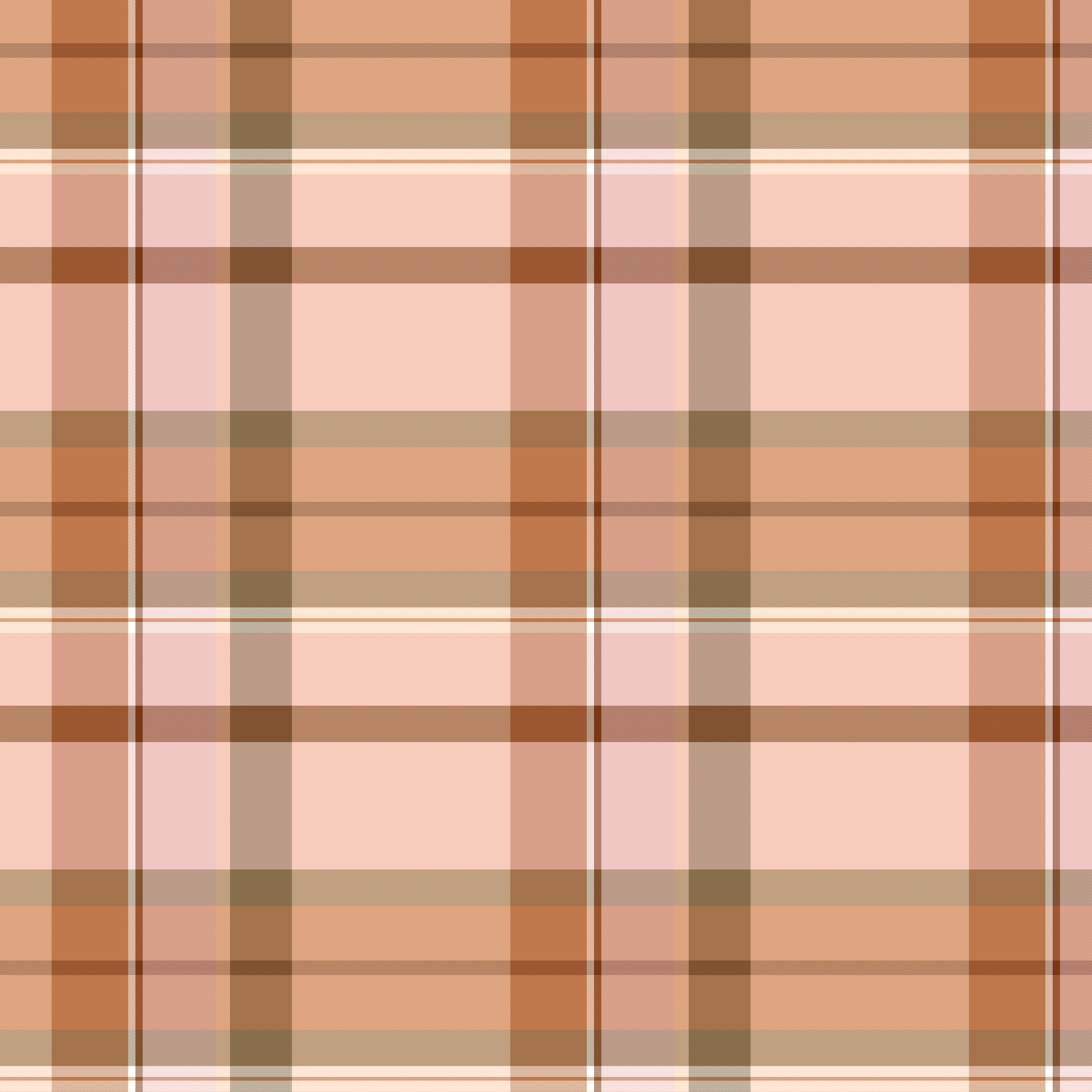 F24 Plaid 2 - Brown.png