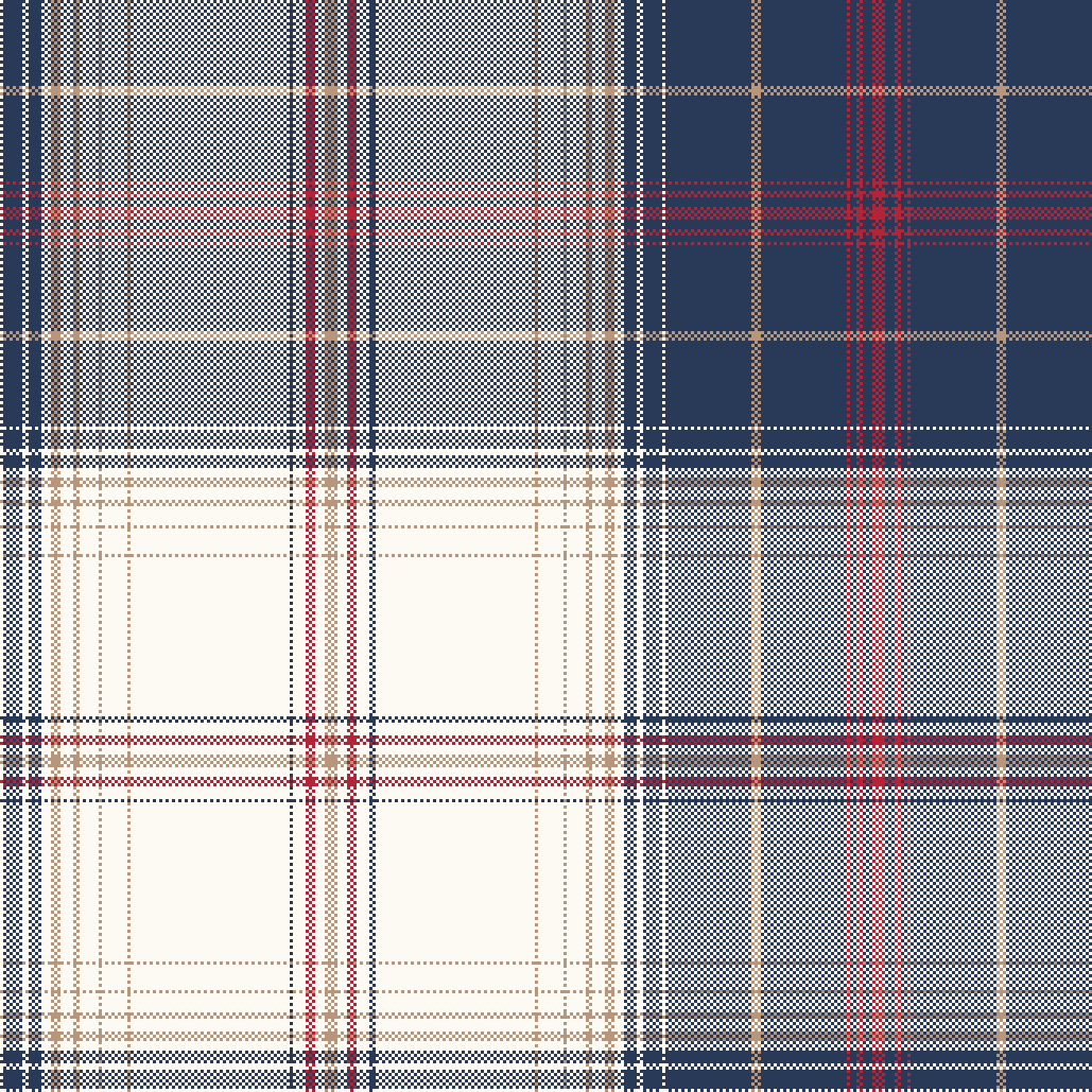 F26 holiday Plaid.png