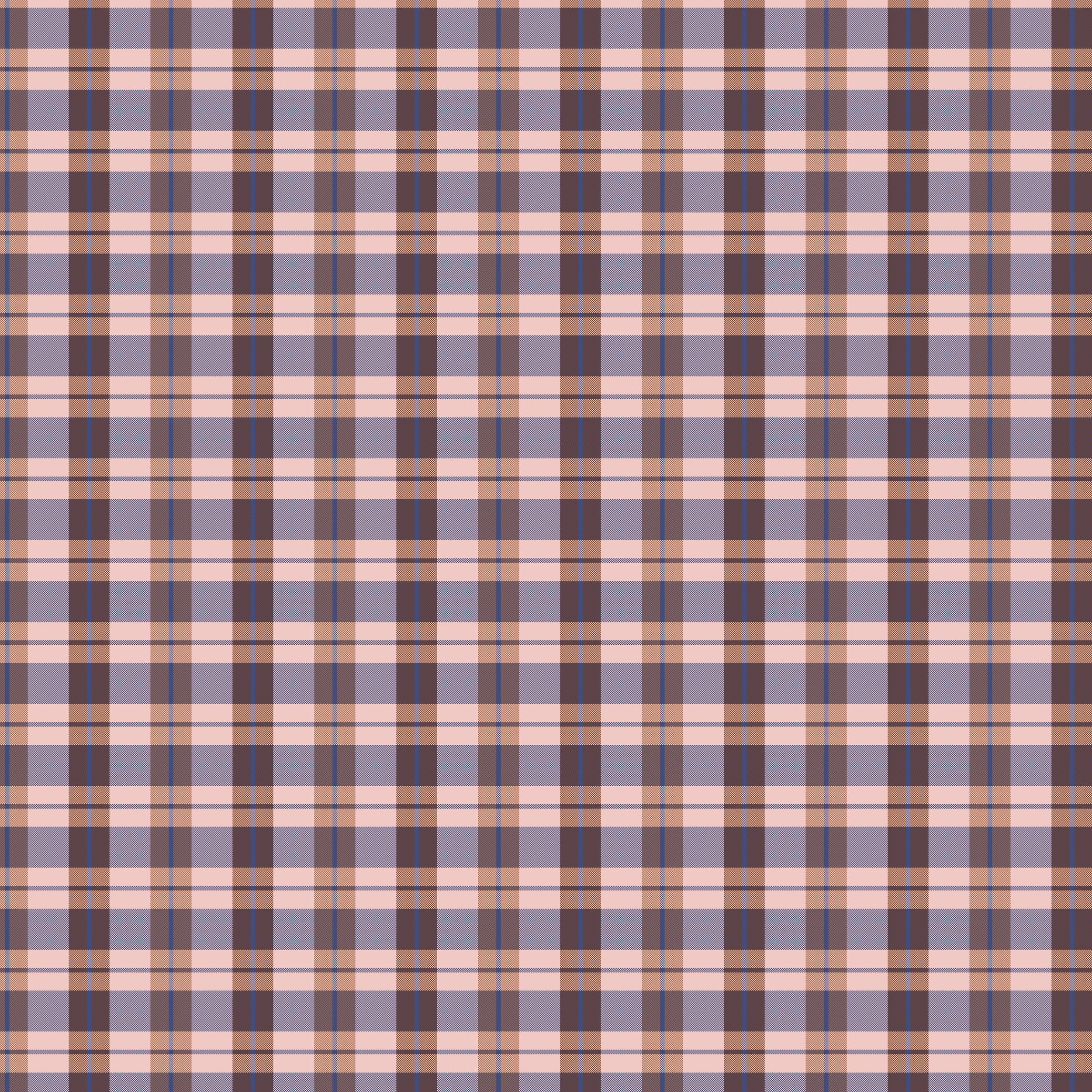 F24 Gingham Plaid - Blue.png