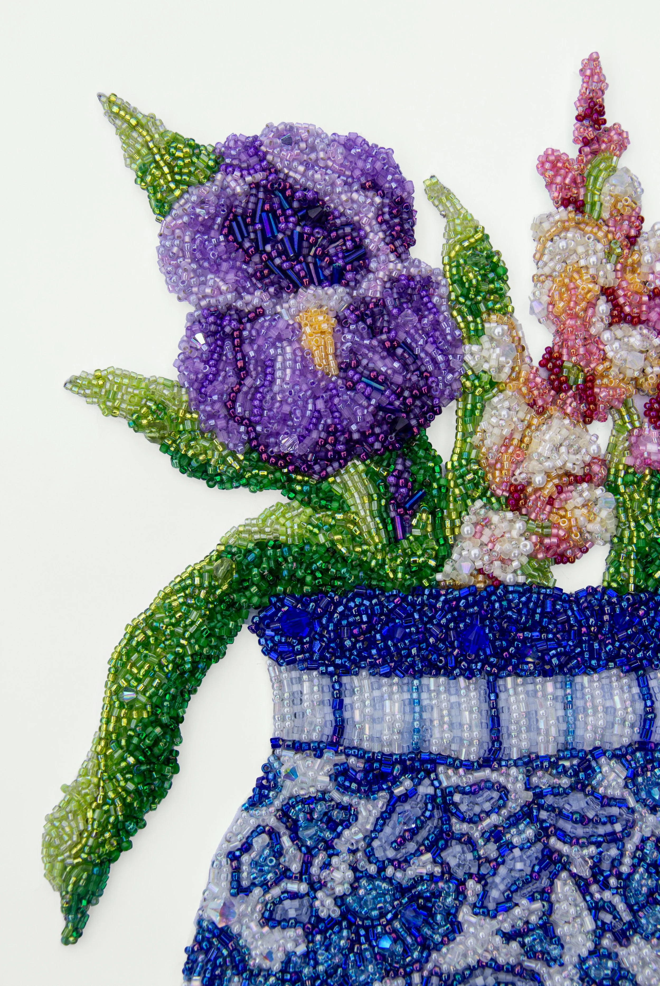 Iris Close Up.jpg