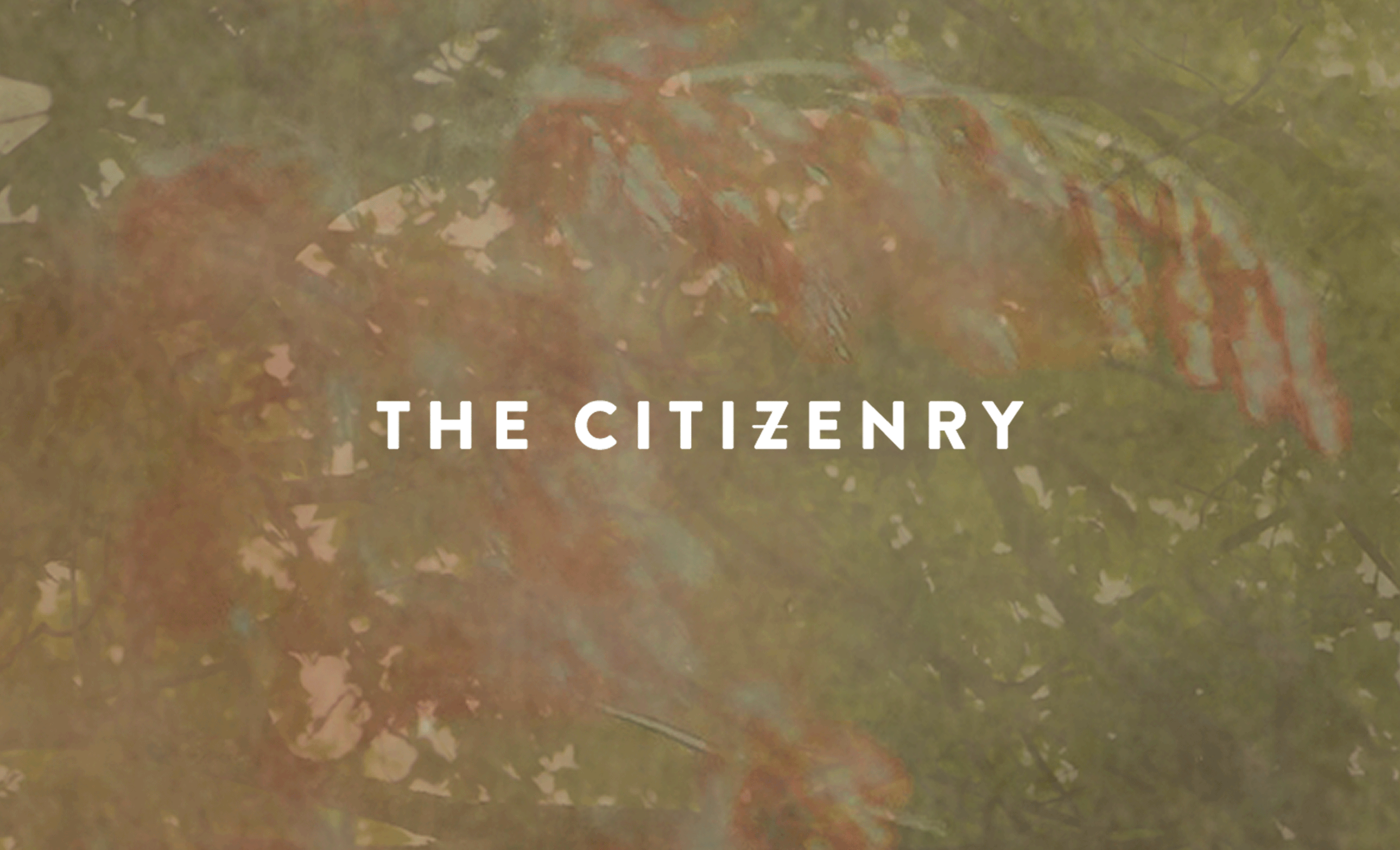 The Citizenry
