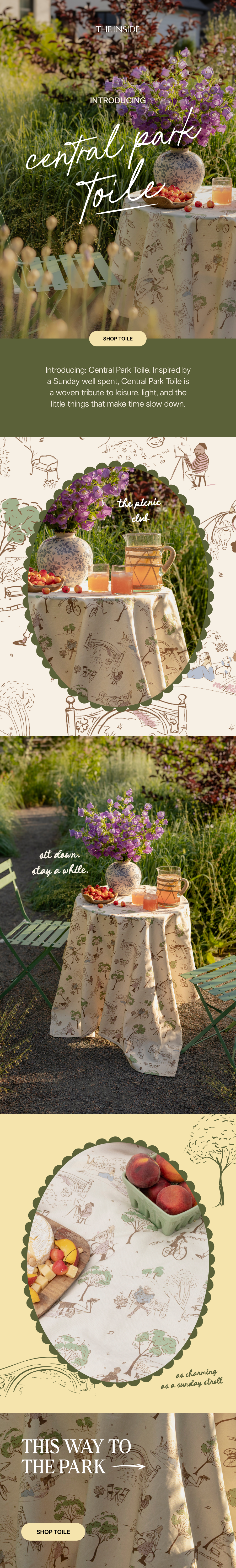 Launch Email - Central Park Toile