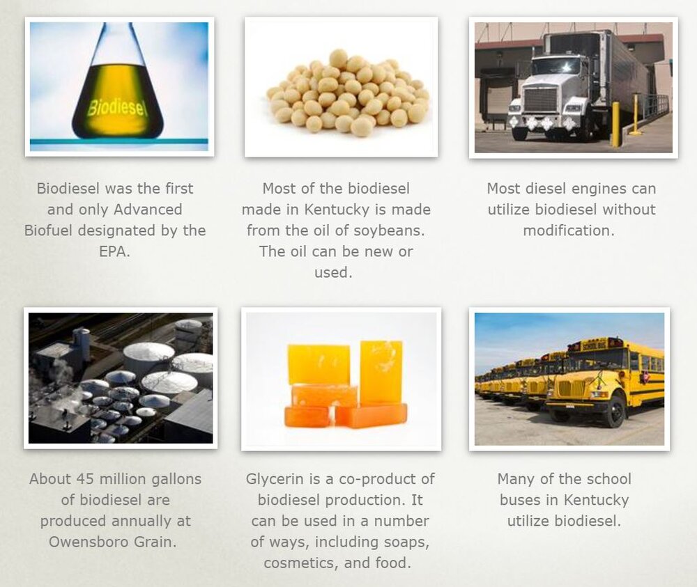 What is Biodiesel and How is it Made? — #TeachKyAg