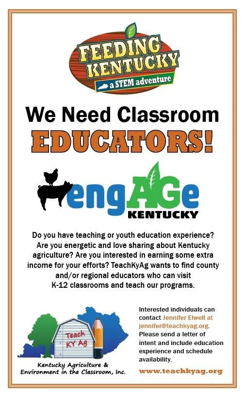 We are Looking for Classroom Educators