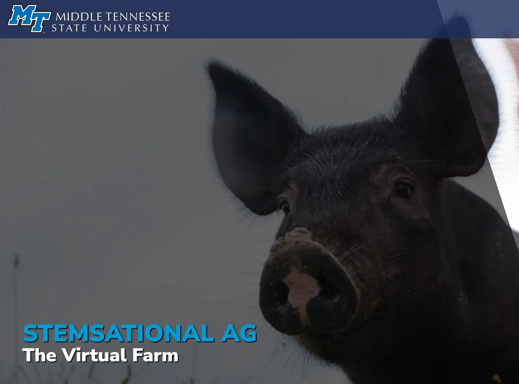 STEMsational Ag: The Virtual Farm