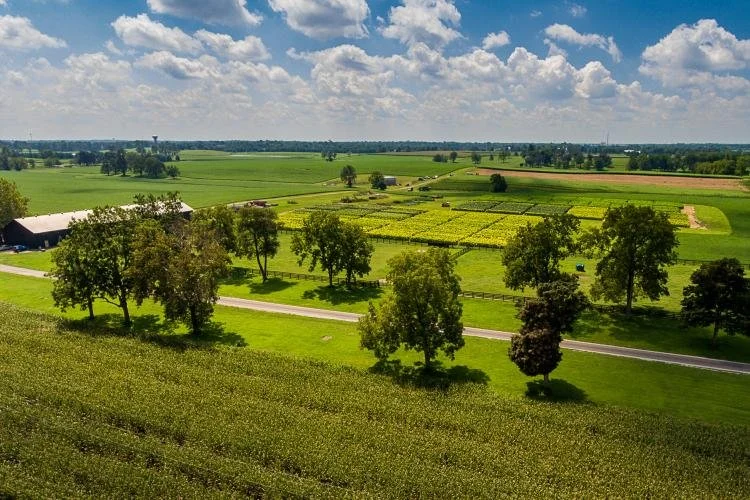 Kenticky Ranch Kentucky Farm